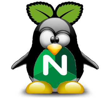 Logo PI-Nginx